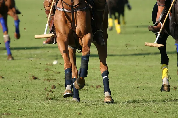 MIGLOT eau de parfum FORMULA 58